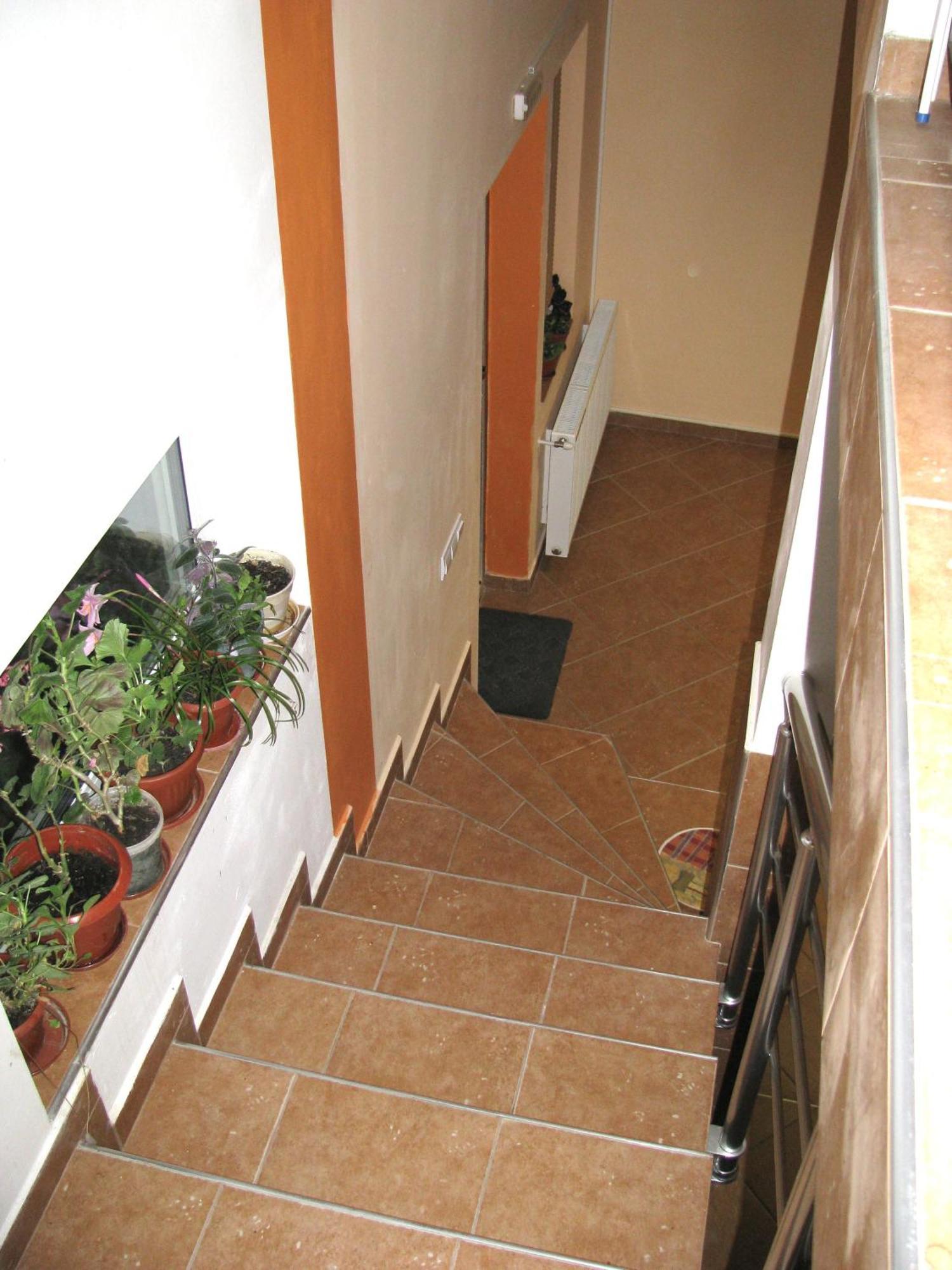 Guest House Familia Samovodene Esterno foto