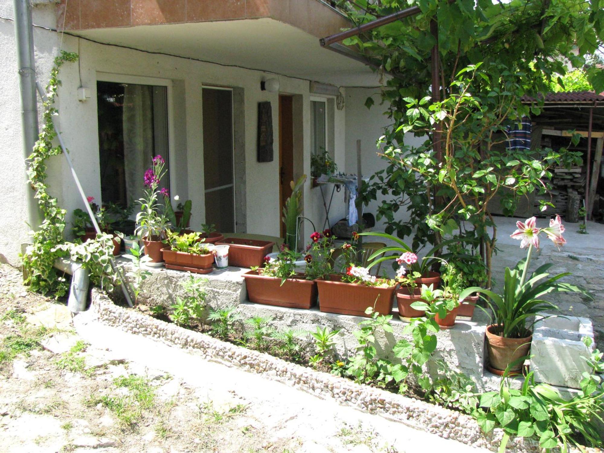 Guest House Familia Samovodene Esterno foto