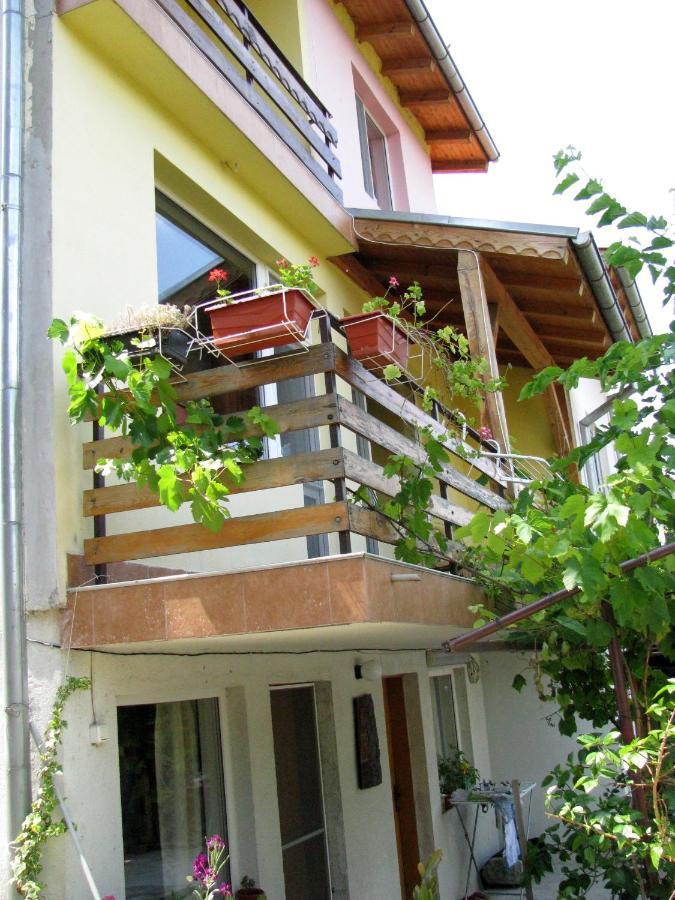 Guest House Familia Samovodene Esterno foto